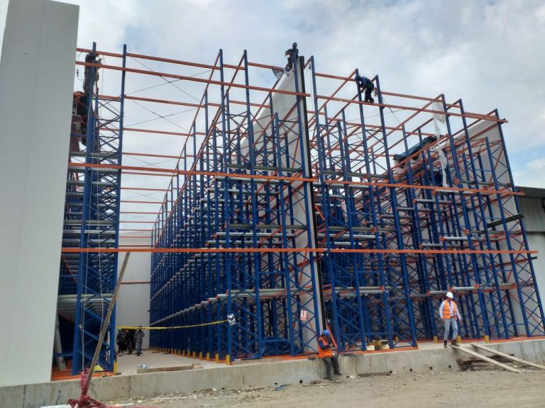 Camara-frigo-congelado-mango-1000-_1