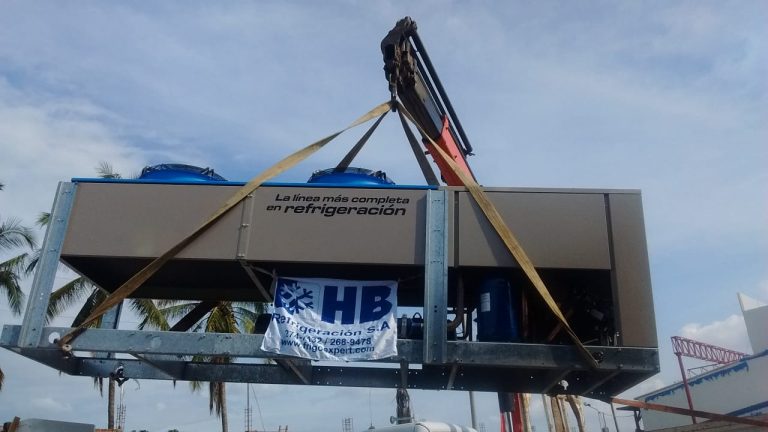 Camara-frigo-congelado-mango-1000-_11