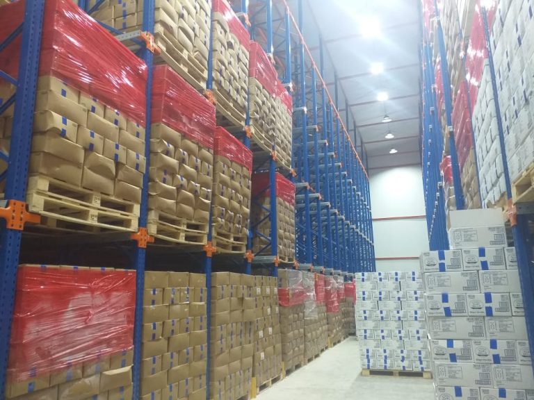 Camara-frigo-congelado-mango-1000-_12