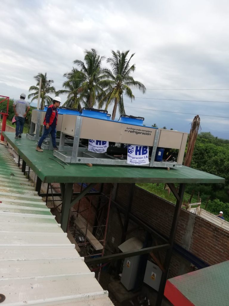 Camara-frigo-congelado-mango-1000-_13