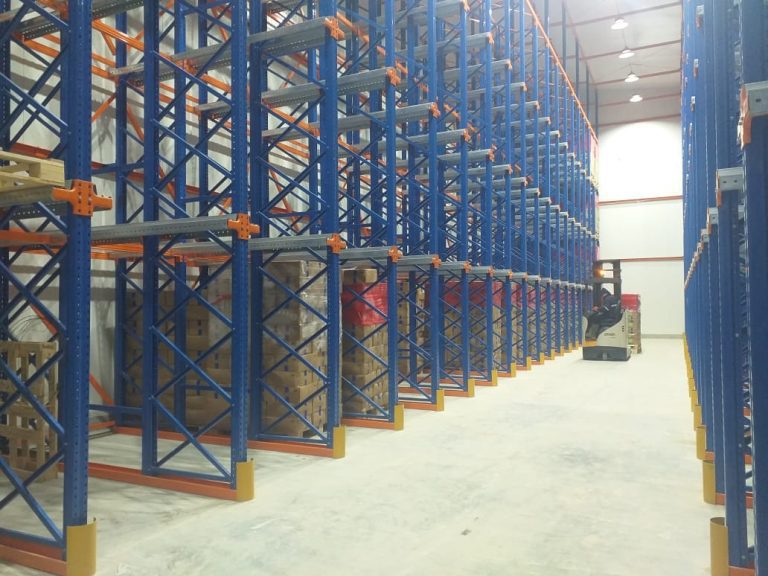 Camara-frigo-congelado-mango-1000-_20