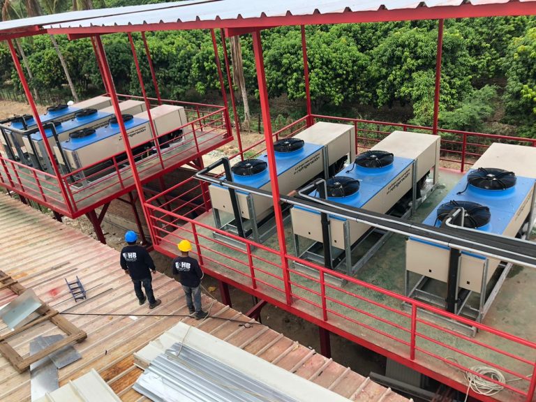 Camara-frigo-congelado-mango-1000-_21