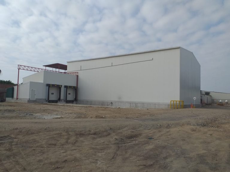 Camara-frigo-congelado-mango-1000-_23