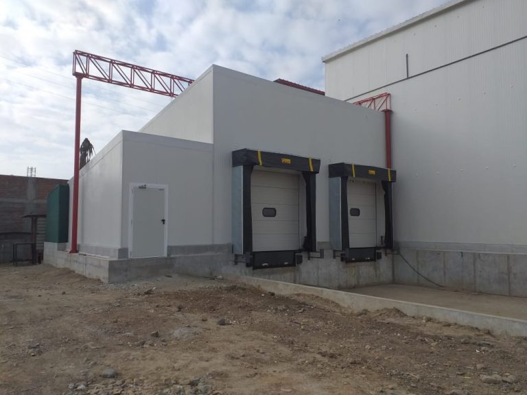 Camara-frigo-congelado-mango-1000-_24