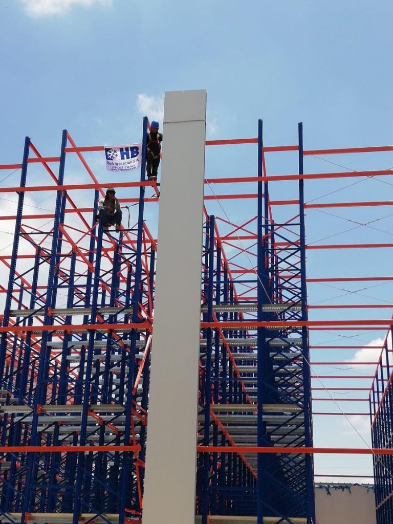 Camara-frigo-congelado-mango-1000-_3