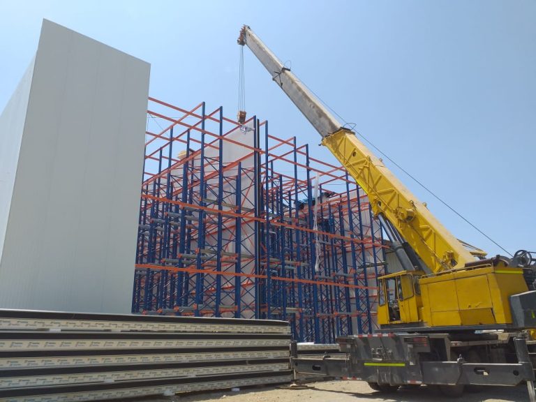 Camara-frigo-congelado-mango-1000-_4