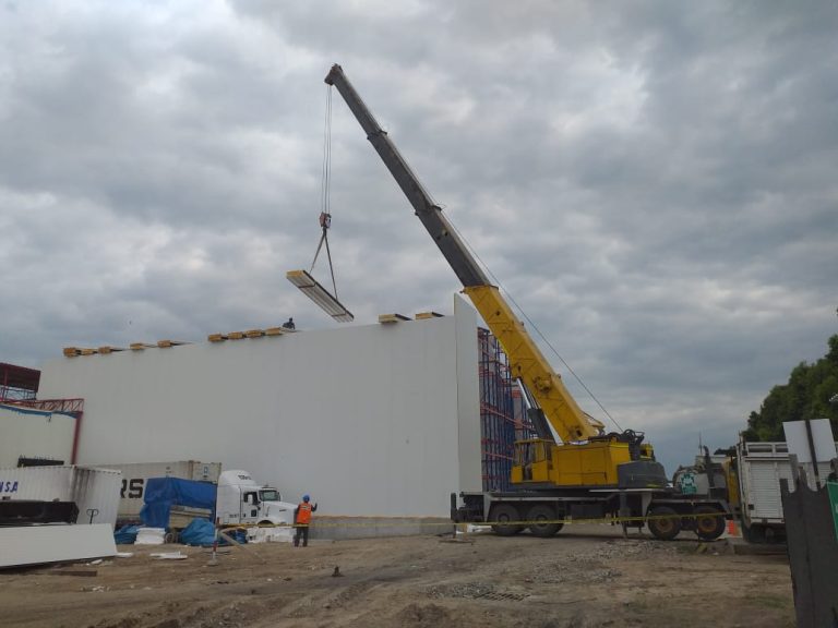 Camara-frigo-congelado-mango-1000-_5